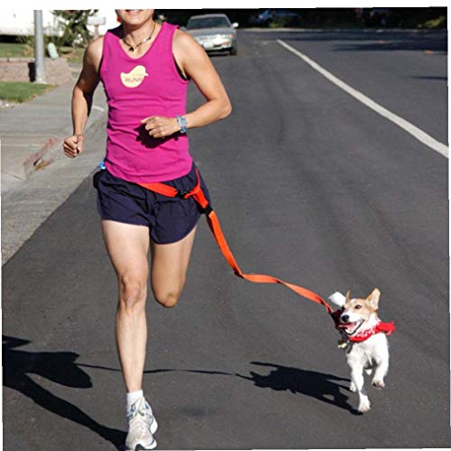 Taille Haustier-Hundeleine Walking Laufen Welpen Hundeleine Kragen Sport Einstellbare Sicherheitstraining schützen Hundezubehör zufällige Farbe von Angoter