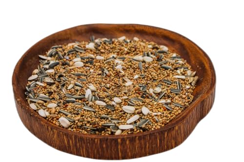 Großsittichfutter 1 kg Anhaltiner Premiumfutter Großsittichfutter 1 kg Anhaltiner Premiumfutter von Anhaltiner Premiumfutter
