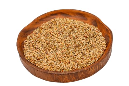Kanarienfutter ohne Rübsen 10 kg Anhaltiner Premiumfutter Kanarienfutter ohne Rübsen 10 kg Anhaltiner Premiumfutter von Anhaltiner Premiumfutter
