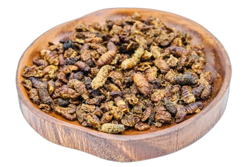 Anhaltiner Seidenraupenpuppen 1kg getrocknet Wildvogelfutter Vogelfutter proteinreicher Snack für Wildvögel Ergänzungsfutter Anhaltiner Seidenraupenpuppen 1kg getrocknet Wildvogelfutter Vogelfutter proteinreicher Snack für Wildvögel Ergänzungsfutter von Anhaltiner Premiumfutterspezialist