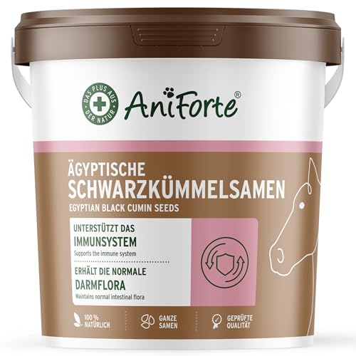AniForte Ägyptische Schwarzkümmelsamen für Pferde 1kg - Unterstützt den Magen-Darm-Trakt & das Immunsystem, stärkt die Abwehrkräfte, wichtige Aminosäuren, Naturprodukt AniForte Ägyptische Schwarzkümmelsamen für Pferde 1kg - Unterstützt den Magen-Darm-Trakt & das Immunsystem, stärkt die Abwehrkräfte, wichtige Aminosäuren, Naturprodukt von AniForte