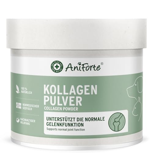 AniForte Marine Kollagen Gelenkpulver für Hunde CollaMove 250g – Fisch Collagen unterstützt Gelenke, Sehnen & Bänder – Naturprodukt für Gelenkfunktion & Agilität von AniForte