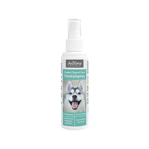AniForte Denta Clean & Care Dentalspray - Hund - 100 ml von AniForte