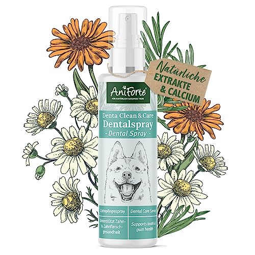 AniForte Denta Clean & Care Dentalspray für Hunde – 100% natürliche Extrakte & Calcium, entfernt Zahnbelag, Mundgeruch Spray für frischen Atem, beugt Plaque, Zahnstein vor, Zahnpflege Spray von AniForte