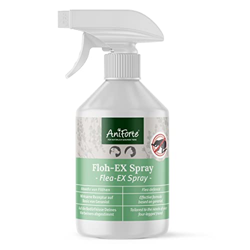AniForte Flohspray für Hunde & Katzen 250 ml - Floh-Ex Spray zur Abwehr gegen Flöhe, Flohmittel bei Parasiten & Flohbefall, Antiflohmittel mit Geraniol & natürlichen Ölen von AniForte