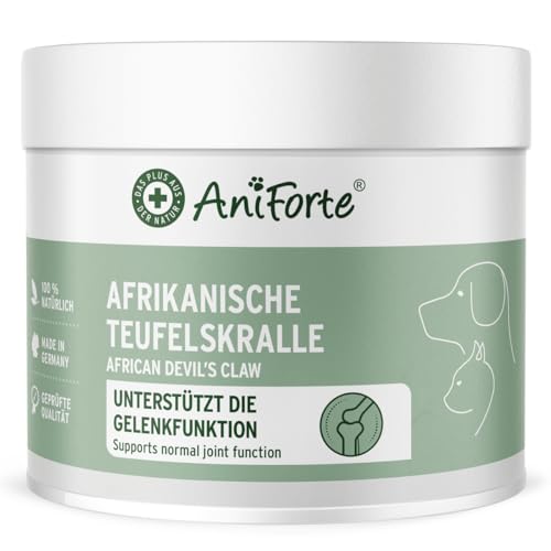 AniForte Afrikanische Teufelskralle für Hunde & Katzen 250g - Teufelskrallen Pulver für Sehnen & Bänder, Gelenkpulver zur Unterstützung der Beweglichkeit & Gelenkfunktion von AniForte
