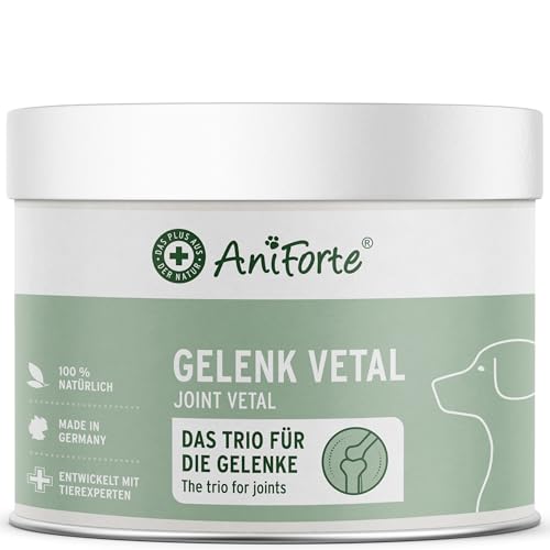 AniForte Gelenk-VETAL 3 Gelenkpulver für Hunde 250g - Naturprodukt mit Grünlippmuschel-Pulver, Fisch Kollagen & Teufelskralle, Für Gelenke & Bewegung von AniForte