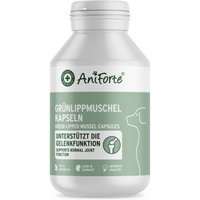 AniForte Grünlippmuschel Kapseln 100 Stk AniForte Grünlippmuschel Kapseln 100 Stk von AniForte