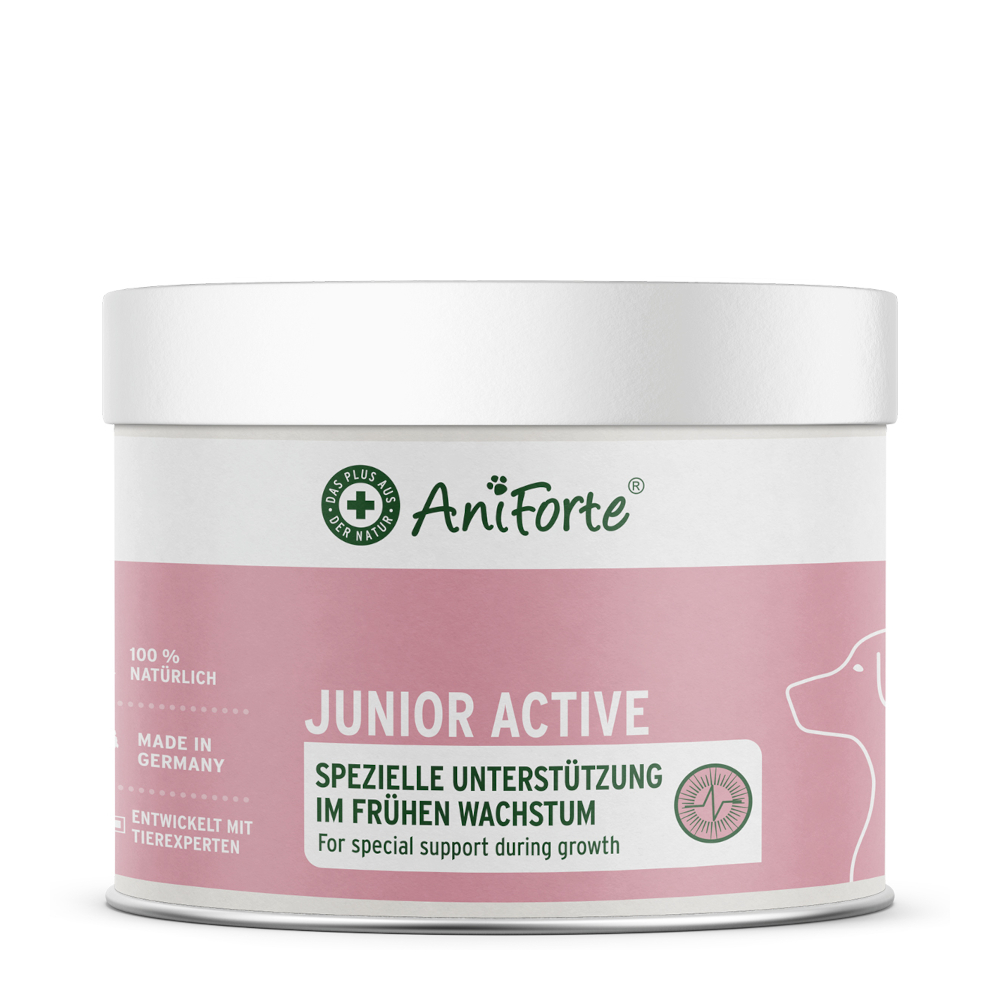 AniForte Junior Active - 250 g AniForte Junior Active - 250 g von AniForte
