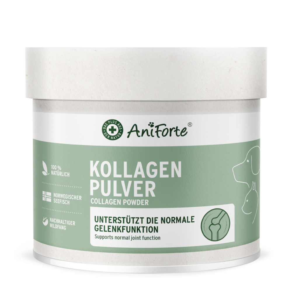 AniForte Kollagen Pulver - 250 g von AniForte