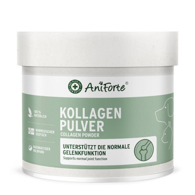 AniForte Kollagen Pulver - 250 g von AniForte