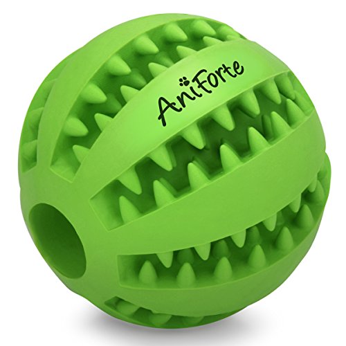 AniForte Naturkautschuk Zahnpflegeball für kleine Hunde & Welpen Ø 5cm – Snackball gegen Zahnstein & Zahnbeläge, Intelligentes Hundespielzeug, Hundeball Premium Qualität von AniForte