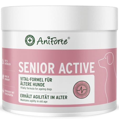 AniForte Senior Active Pulver 250 g für ältere Hunde - Mineralien, Aminosäuren & Vitamine für Hunde, unterstützt Gedächtnis- & Herzfunktion, Grünlippmuschel für Vitalität & Agilität, Senioren Futter von AniForte