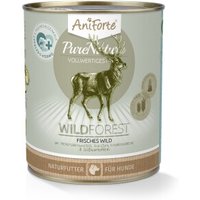 AniForte Nassfutter WildForest Wild mit Zucchini (6 x 400g) 4,8 kg von AniForte