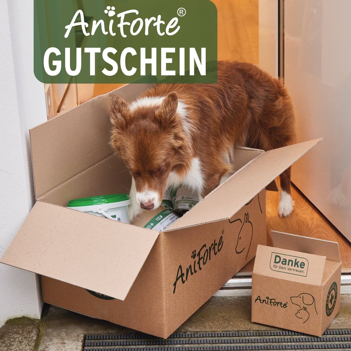 Geschenk Gutschein Geschenk Gutschein von AniForte