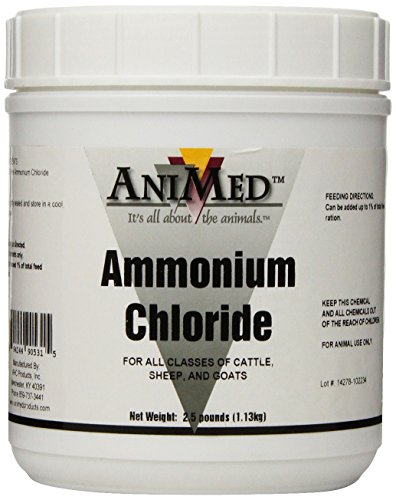 AniMed Ammonium Chloride Powder 2.5 lb for Cattle Sheep and Goats von AniMed