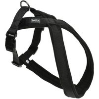 AniOne X-Geschirr Classic schwarz M von AniOne