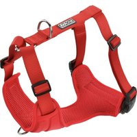 AniOne H-Geschirr mit Magnet-Schnalle L AniOne H-Geschirr mit Magnet-Schnalle L von AniOne