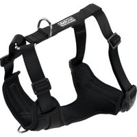 AniOne H-Geschirr mit Magnet-Schnalle S AniOne H-Geschirr mit Magnet-Schnalle S von AniOne