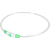 AniOne LED-Leuchtring Silikon grün von AniOne