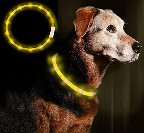 Anicoll LED Leuchthalsband Hunde Halsband USB wiederaufladbar - Längenverstellbarer Haustier Sicherheit Kragen für Hunde und Katzen- 4 Modus 12 Lichte Gelb von Anicoll