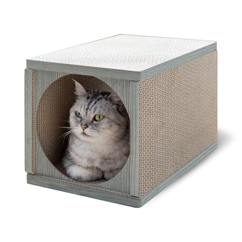 Anikitty Katzenkratztunnel (Grauholz) von Anikitty