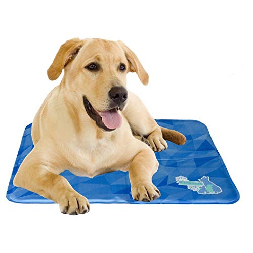 Holland Animal Care Coolpets Cool Dog Mat - M - 50 x 40 cm von Holland Animal Care