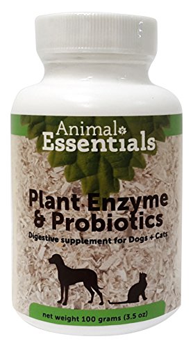 Animal Essentials Plant Enzymes and Probiotics 100 gram Supplement for Pets von Animal Essentials