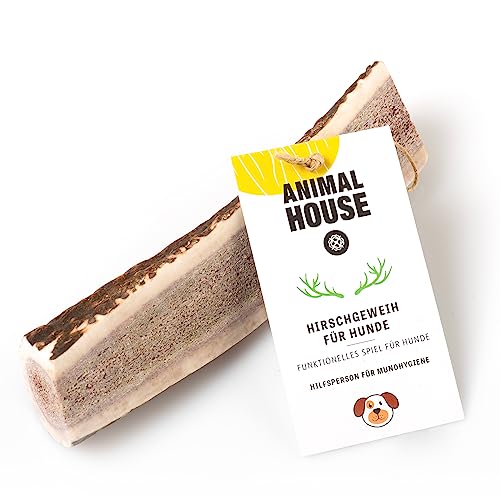 Animal House – Geteiltes Hirschgeweih für Hunde – 100% natürlicher Kausnack – Stärkt die Mundhygiene – Widerstandsfähig und langlebig – In Allen Größen erhältlich (L) von Animal House