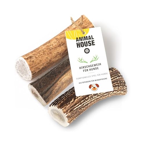 Animal House 3 Stück ganze Hirschgeweihe für Hunde, 100% natürliches Kauspielzeug, stärkt die Mundhygiene, widerstandsfähig und langlebig, in Allen Größen erhältlich (3, M) von Animal House