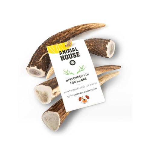 Animal House 4 Stück ganze Hirschgeweihe für Hunde, 100% natürliches Kauspielzeug, stärkt die Mundhygiene, widerstandsfähig und langlebig, in Allen Größen erhältlich (4, S) von Animal House