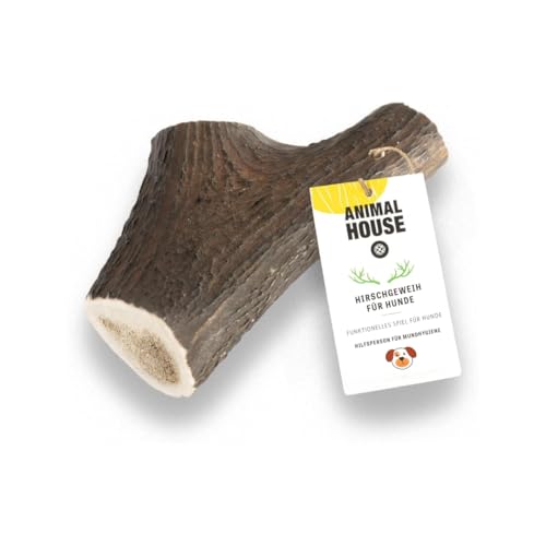 Animal House – Ganzes Hirschgeweih für Hunde – 100% natürlicher Kausnack – Stärkt die Mundhygiene – Widerstandsfähig und langlebig – In Allen Größen erhältlich (XXL) von Animal House