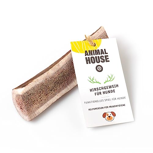 Animal House – Geteiltes Hirschgeweih für Hunde – 100% natürlicher Kausnack – Stärkt die Mundhygiene – Widerstandsfähig und langlebig – In Allen Größen erhältlich (XL) von Animal House