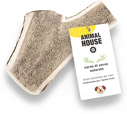 Animal House – Geteiltes Hirschgeweih für Hunde – 100% natürlicher Kausnack – Stärkt die Mundhygiene – Widerstandsfähig und langlebig – In Allen Größen erhältlich (XXL) von Animal House