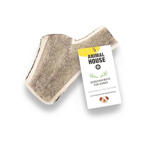 Animal House – Geteiltes Hirschgeweih für Hunde – 100% natürlicher Kausnack – Stärkt die Mundhygiene – Widerstandsfähig und langlebig – In Allen Größen erhältlich (1 stück (1er Pack), XXL) von Animal House