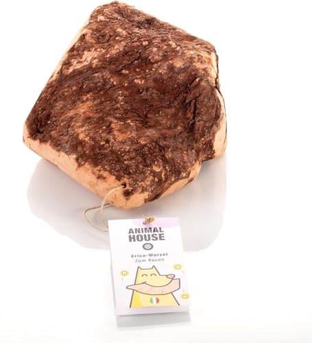 Animal House – Heidekrautwurzel für Hunde – Natürlicher Kausnack – Verbessert die Mundhygiene – Anti-Stress für Hunde – Widerstandsfähig und langlebig (XS, Heidekrautwurzel) von Animal House