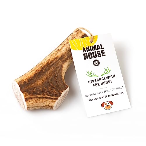 Animal House – Ganzes Hirschgeweih für Hunde – 100% natürlicher Kausnack – Stärkt die Mundhygiene – Widerstandsfähig und langlebig – In Allen Größen erhältlich (L) von Animal House