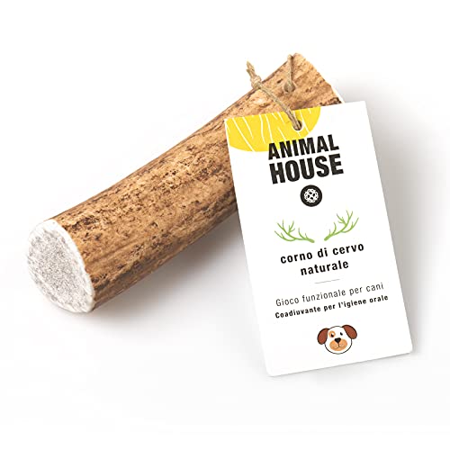 Animal House - Hirschgeweih für Hunde - Kauartikel 100% Natur - Verbessert die Mundhygiene - Widerstandsfähig und langlebig (M 1ST) von Animal House