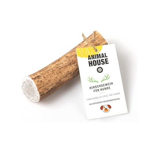 Animal House – Ganzes Hirschgeweih für Hunde – 100% natürlicher Kausnack – Stärkt die Mundhygiene – Widerstandsfähig und langlebig – In Allen Größen erhältlich (M) von Animal House