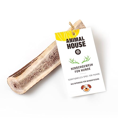 Animal House – Geteiltes Hirschgeweih für Hunde – 100% natürlicher Kausnack – Stärkt die Mundhygiene – Widerstandsfähig und langlebig – In Allen Größen erhältlich (S) von Animal House