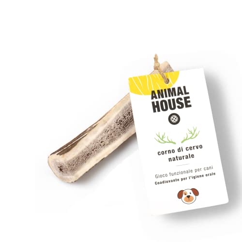 Animal House – Geteiltes Hirschgeweih für Hunde – 100% natürlicher Kausnack – Stärkt die Mundhygiene – Widerstandsfähig und langlebig – In Allen Größen erhältlich (XS) von Animal House