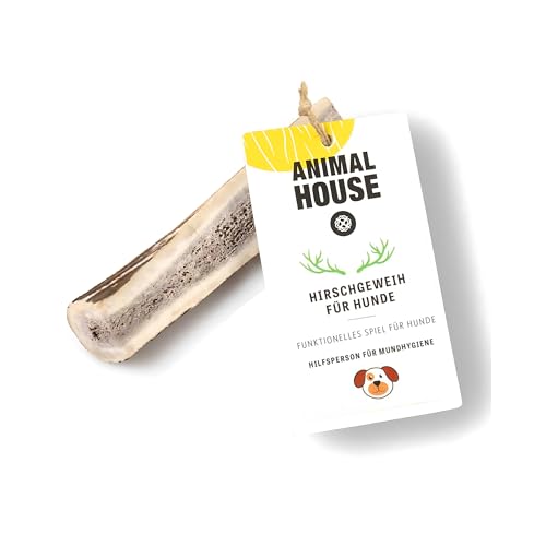 Animal House – Geteiltes Hirschgeweih für Hunde – 100% natürlicher Kausnack – Stärkt die Mundhygiene – Widerstandsfähig und langlebig – In Allen Größen erhältlich (1 stück (1er Pack), XS) von Animal House