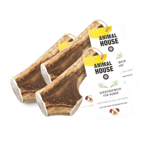 Animal House 3 Stück ganze Hirschgeweihe für Hunde, 100% natürliches Kauspielzeug, stärkt die Mundhygiene, widerstandsfähig und langlebig, in Allen Größen erhältlich (3, L) von Animal House