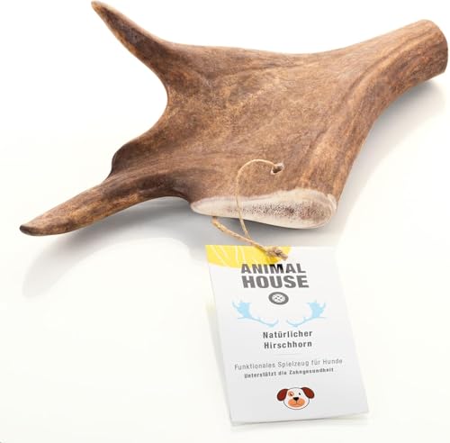 Animal House – Wildlederholz für Hunde – 100% natürlicher Kausnack – Stärkt die Mundhygiene – Langlebig und widerstandsfähig – In Allen Größen erhältlich (XL) von Animal House