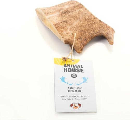 Animal House – Wildlederholz für Hunde – 100% natürlicher Kausnack – Stärkt die Mundhygiene – langlebig und widerstandsfähig – in Allen Größen erhältlich (M) von Animal House