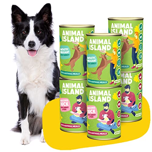 Animal Island Hundefutter Nass Nassfutter für Hunde bis zu 84% Fleisch Mixpaket für Erwachsene Hunde für alle Rassen | Ente Fasan | Multipack 6 x 400 g Animal Island Hundefutter Nass Nassfutter für Hunde bis zu 84% Fleisch Mixpaket für Erwachsene Hunde für alle Rassen | Ente Fasan | Multipack 6 x 400 g von Animal Island
