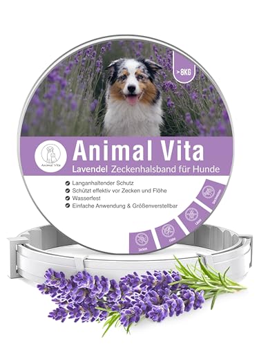 Animal Vita® Lavendel Zeckenhalsband für Hunde [Effektiver Schutz vor Ungeziefern] wasserdicht und verstellbar - bis zu 8 Monate Zeckenschutz mit 100% natürlichen Inhaltsstoffen, Lavendel von Animal Vita