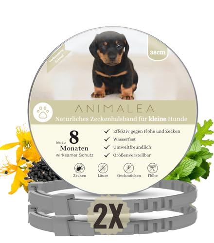 Animalea® Zeckenhalsband [2 Stück] für kleine Hunde - verbesserte Formel - Länge 38cm - 100% naürliche Inhaltsstoffe - bis zu 8 Monate wirksamer Schutz gegen Zecken Flöhe Mücken Läuse Ungeziefer von Animalea
