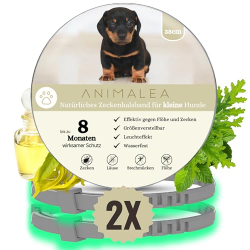 Animalea® [2 Stück] Zeckenhalsband für kleine Hunde - verbesserte Formel mit Schwarzkümmelöl - 100% Natürlich - bis zu 8 Monate wirksamer Schutz gegen Zecken Flöhe Läuse Ungeziefer von Animalea