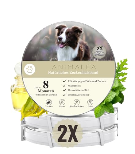 Animalea® Zeckenhalsband für Hunde (2 Stück) - Länge 62cm - wirksamer Schutz gegen Zecken und Flöhe - wasserfest und größenverstellbar bis zu 8 Monaten Zeckenschutz mit 100% natürlichen Inhaltsstoffen von Animalea